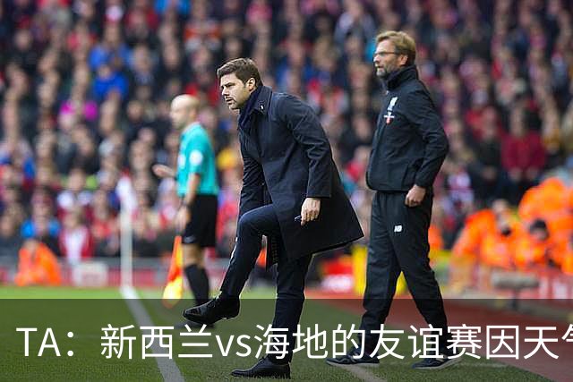 TA：新西兰vs海地的友谊赛因天气延误，美国恶劣天气再次引发担忧